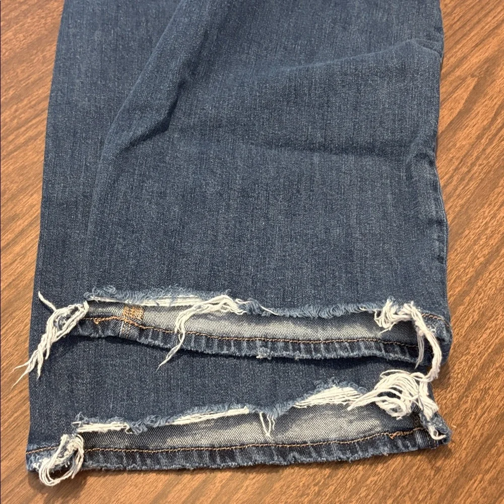 American Eagle AEO Size 00 Short Low Rise Baggy Wide Leg Denim Jeans